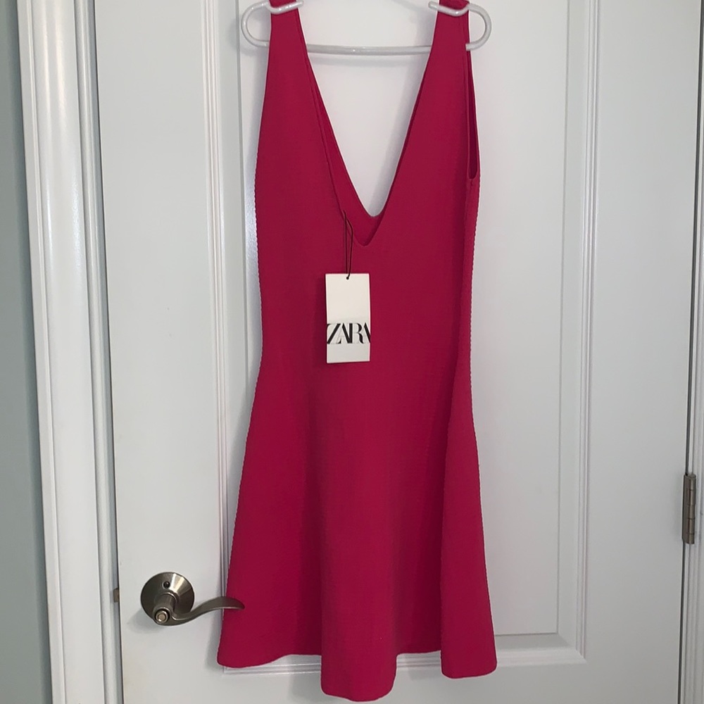 NWT Zara skater dress.